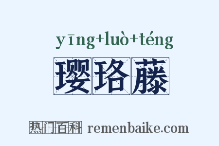 璎珞藤是什么意思的图片